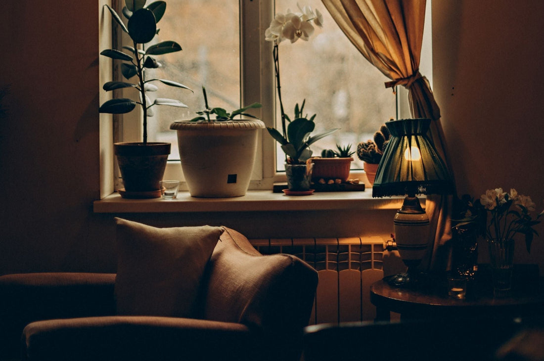 A cozy, dimly lit living room corner with an armchair, soft pillow, potted plants on a windowsill, and a glowing lamp beside drawn curtains.