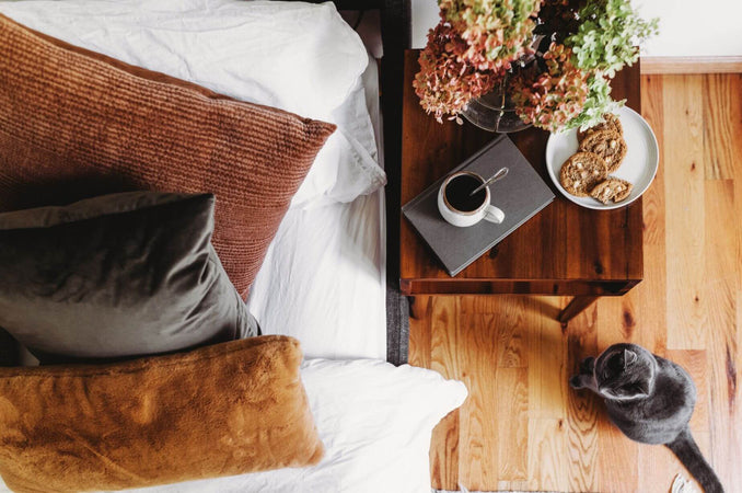Cozy bedside scene with a wooden nightstand. A gray cat sits on the hardwood floor.