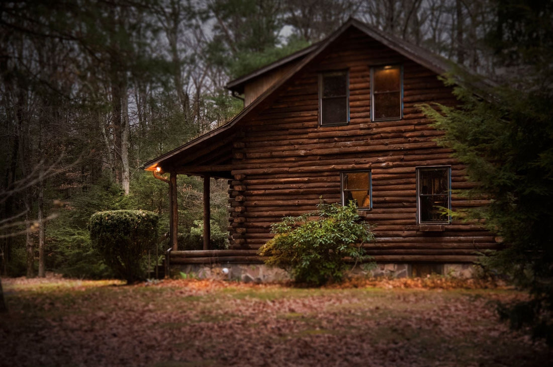 a cabin in the woods