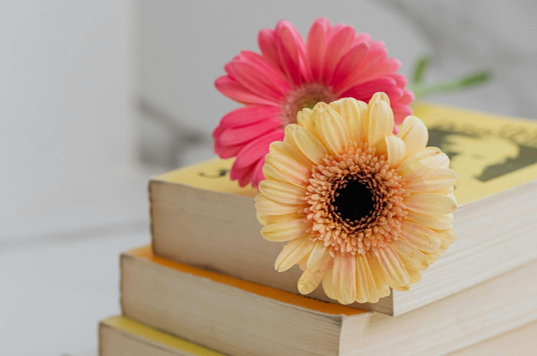 Two gerbera daisies in pink and soft yellow resting on a stack of books against a light neutral background
