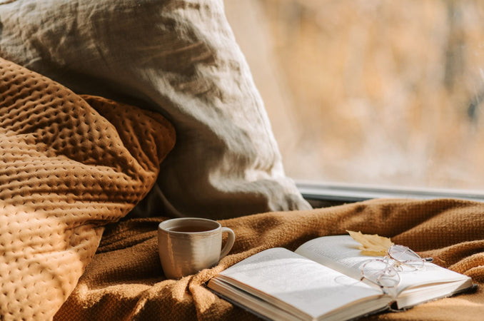Cozy Books to Curl Up With