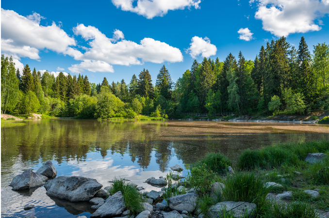 Finland's Secret to Happiness