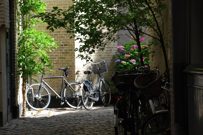 Bicycles with baskets are parked in a quiet, sun-dappled courtyard with brick walls, cobblestones, and blooming pink flowers.