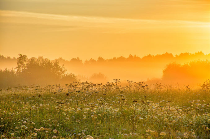 Holding On to Summer: Savoring Every Moment