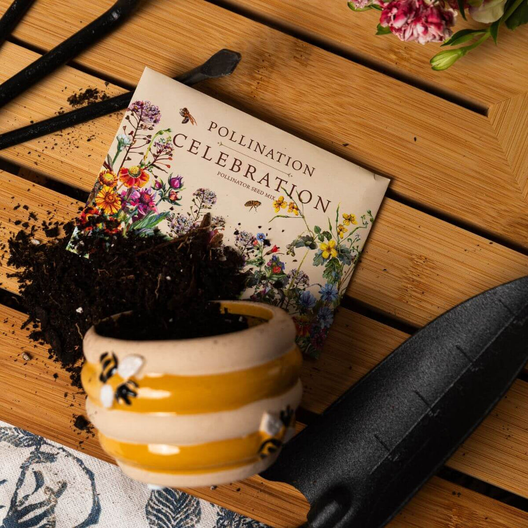 Celebration Seed Packet