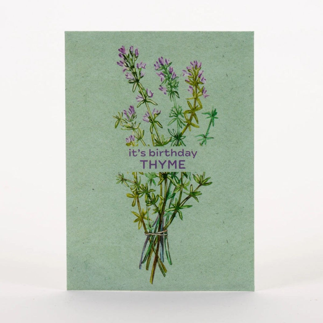 Seed packet with thyme illustration and 'it's birthday THYME' text on a green background