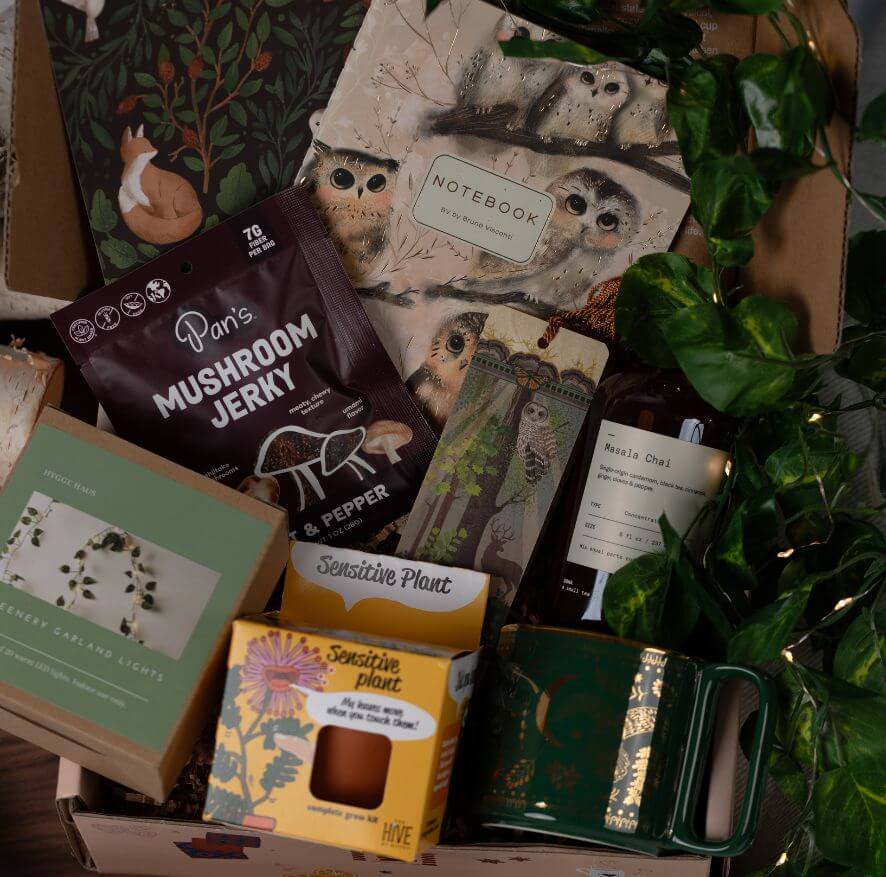 A curated gift box filled with assorted items including a notebook with owl illustrations, a bag of mushroom jerky, a plant kit, a green mug with gold foil detailing, and greenery garland lights.