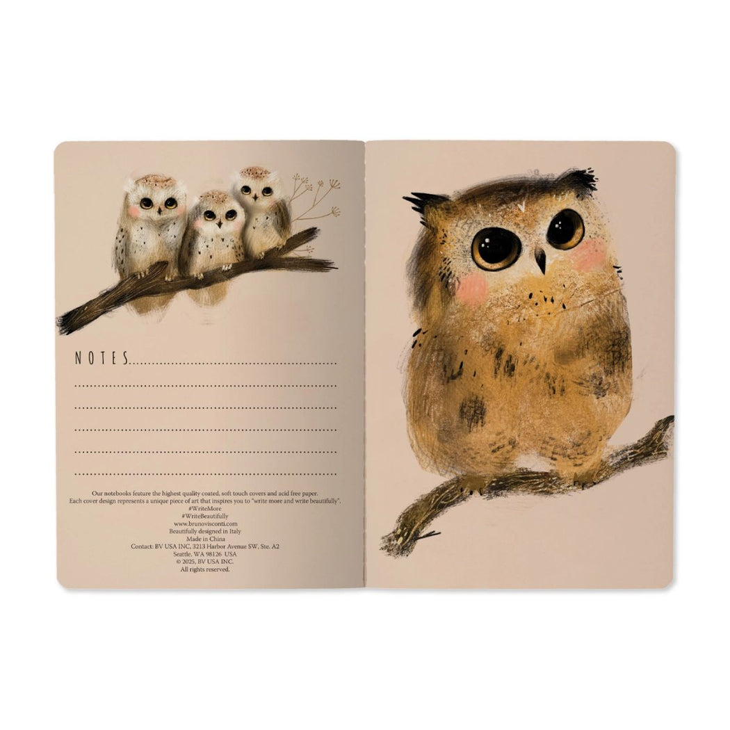 An open notebook or journal spread showing owl illustrations on both pages, with lined note space on the left page and a large painted owl on the right page, photographed against a white background.