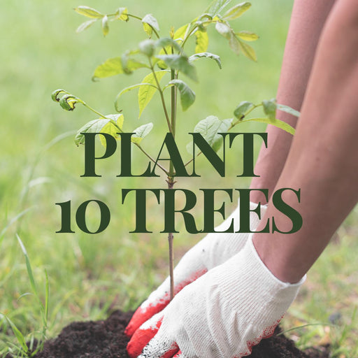 Plant 10 Trees