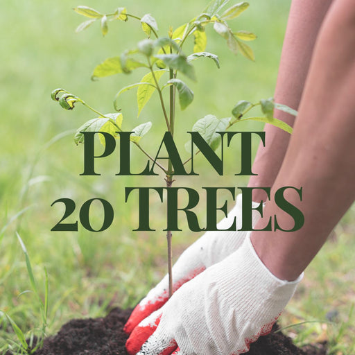 Plant 20 Trees