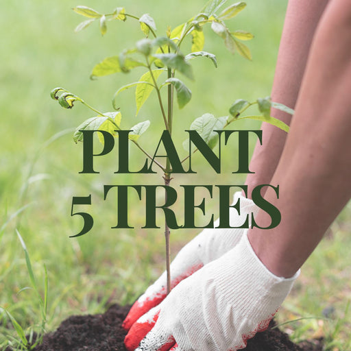 Plant 5 Trees