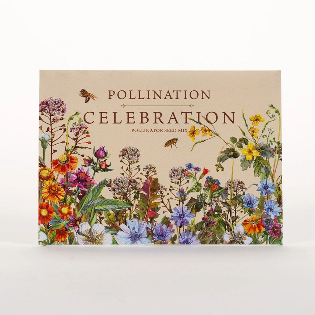 Seed packet of Pollination Celebration with floral design and text on a beige background.