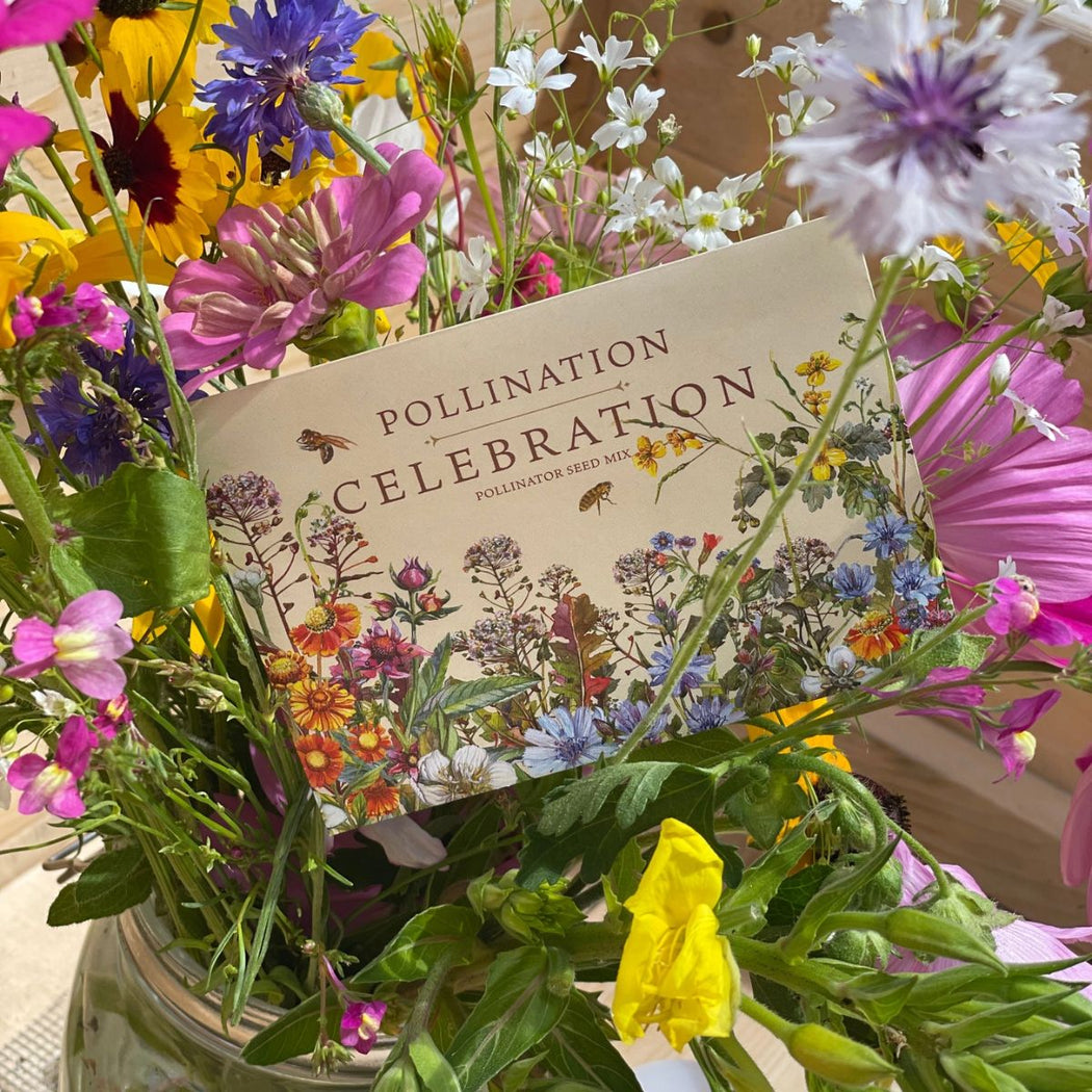 Bouquet of wildflowers with a 'Pollination Celebration' seed mix packet.