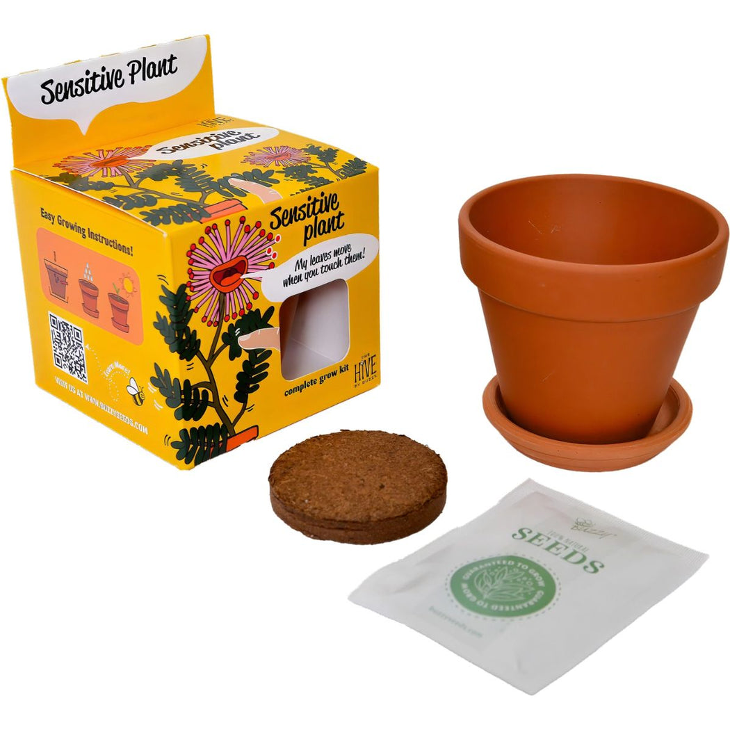 Terracotta pot, grow pellet and seed packet with 'Sensitive Plant' packaging on a white background