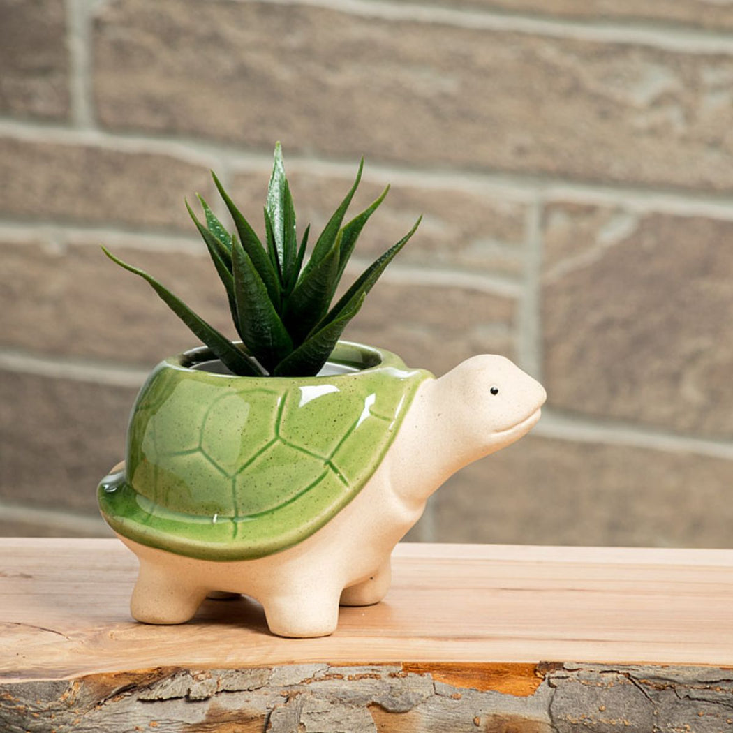 Turtle-shaped plant pot with a succulent on a wooden surface against a brick wall.