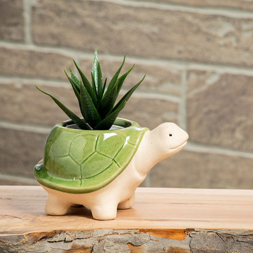 Turtle-shaped plant pot with a succulent on a wooden surface against a brick wall.
