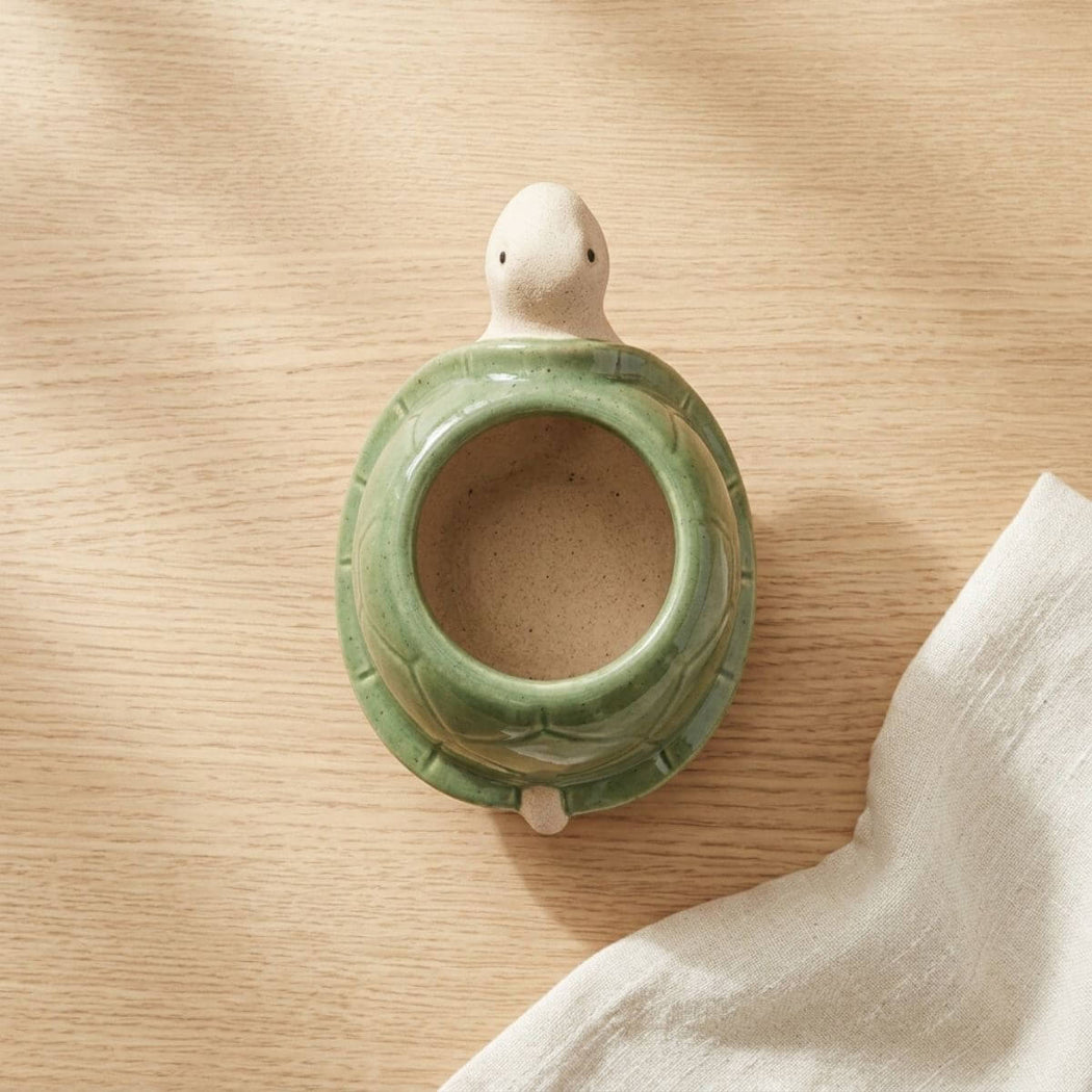 Ceramic turtle planter on a wooden surface.