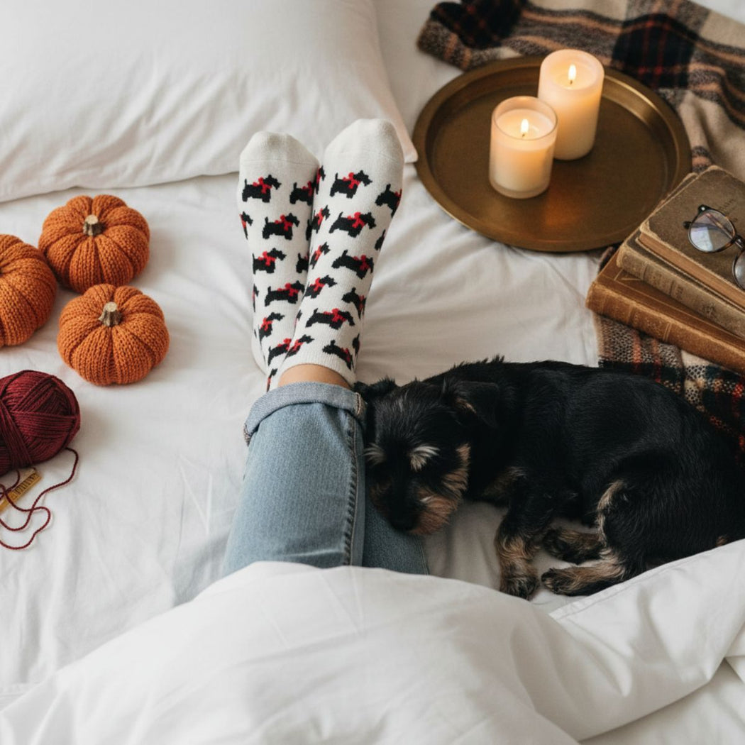 Person wearing ribbon collar dog print socks with a dog on a bed, surrounded by candles, books, and knit pumpkins.